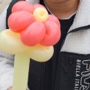 한중사진관