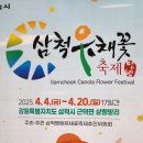 정동진2리 이미지