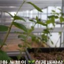 서안농장 이미지