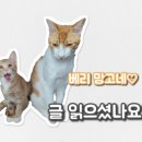 김태효탑내과의원 이미지