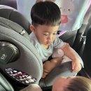 복둥이농장 이미지