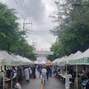 KTI한울태권도 이미지