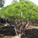 수관농장 이미지