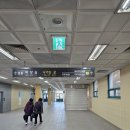 엄광산 가야약수터 위 임도 | 부산 금정산 국립공원 산행 (하늘릿지~고당봉~원효봉)