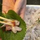경주 감포횟집 감포맛집 , 부부수산 모듬회 포장후기