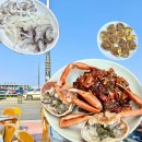속초 야장 분위기 좋은 동명항 오징어회 포차거리 맛집 뱃머리 야식 후기