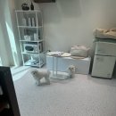 플로이몽 이미지