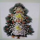 봉암동019 이미지