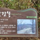 선정형외과 네이버블로그