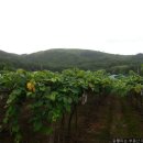 잘풀리는공인중개사사무소 이미지