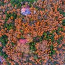 석곡(화산) 이미지