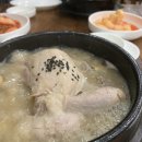 쑥떡이 임신 22주 일기 / 23주 태동