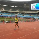 11/22~23일 (토,일) 2014YTN손기정마라톤대회 참가기!! 이미지