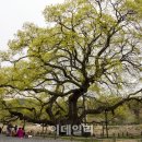 산월게스트하우스