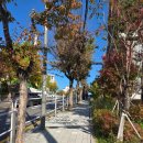 한진약국 | [돈암 임장후기] 한신한진아파트 - 성북구 4509세대 매머드급 대단지 아파트