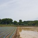 문법농장 이미지