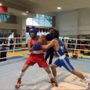 히트플레이스복싱 | [김포 복싱장 추천]생활체육부터 전국대회·프로 합격까지 김포GO복싱 운양점