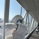 별방진하우스 | 1박 제주여행-1(제주 동쪽 여행지&amp;제주 유채꽃 명소)