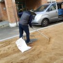 호산초등학교 병설유치원 이미지