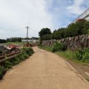 강정동-5 이미지