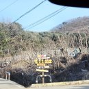 힐링펜션 | 경기도파주핫플스파펜션 중휴림 힐링 숙박 후기