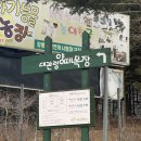세븐헌드레드 | [평창] 대관령 양떼목장 :: 근처 카페 세븐헌드레드(7HUNDRED) :: 대관령 눈꽃마을눈썰매장 후기