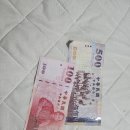 20241220-22 연말일상:0