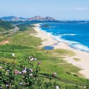 농업회사법인 주식회사 칡소 이미지