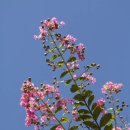 구지서로 이미지