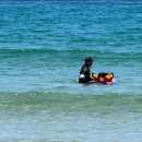 남애서핑클럽 이미지