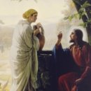 지혜로운건설연구소 | 마태 12장 주석, 2026년 4월11일, Commentary on Matthew 12