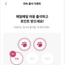매일상회 이미지