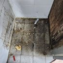 효승뷰솔루션 이미지