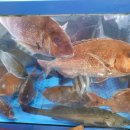 경북상회 이미지