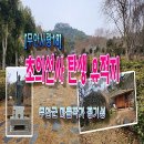 [무안사랑18] ‘초의선사 탄생지’ 소개
