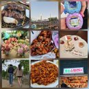 제일약국 | 1-2주차 일상(제육볶음,본가 1박, 서울여행-남산/왕솔약국/경복궁/김희은님 소울,다마고치,신인숙 닭...