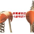 니드짐 구파발점 이미지