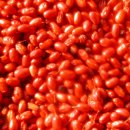 희망찬농장 이미지