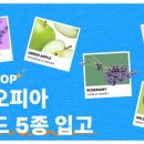 주식회사 블레스빈