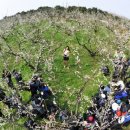 대한꽃농원 이미지