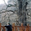 먼동1펜션 이미지