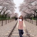 씨유진해이동대로점 | 2025 진해군항제 실시간 후기, 혼자 떠난 경남 벚꽃 여행