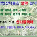 계방산푸성귀 이미지