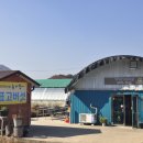 가가표고라 네이버블로그