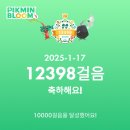 (주)아성다이소 대구복현점 | [일상] 2025년 1월 3주 | 경대북문 주비, 헌혈의집 동성로센터, 러스티레이크, 피크민, 샤브20 대구복현점