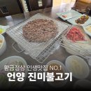 산꾼의집 | 울산, 영남알프스 맛집 추천: "고기 모욕"이 "천국"으로 변한 언양진미불고기 신세계(내돈내산 솔직후기)
