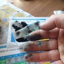 잉크천지 이미지