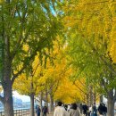 예산목장 이미지