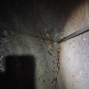 주식회사 두레박