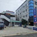 포항물회 일번지 | 포항오천맛집 일번지회대게 🍴 자연산 포항물회맛집 후기